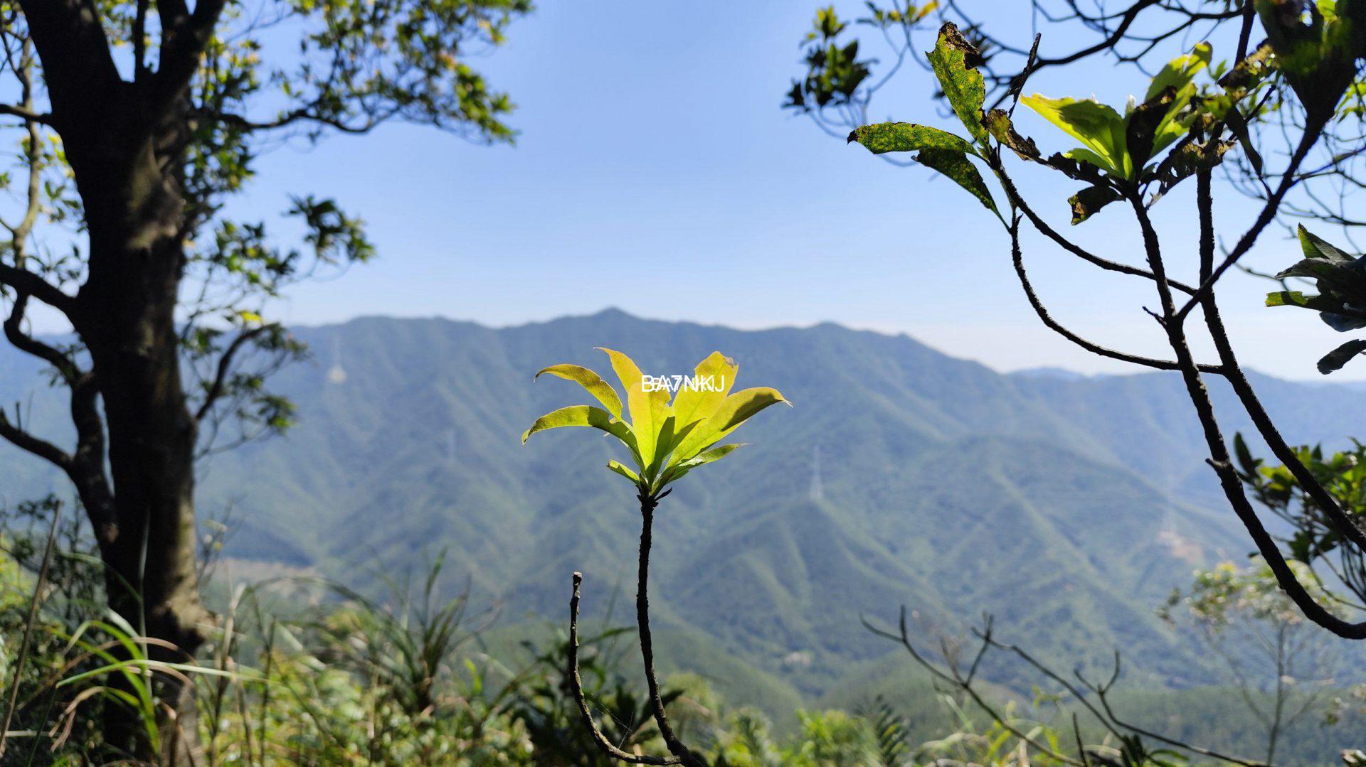 广东电台