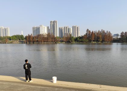 清醒人生：三大智慧引领我们前行